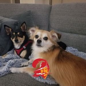 Meet your Posher, Faye